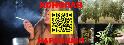 кокс Гатчина