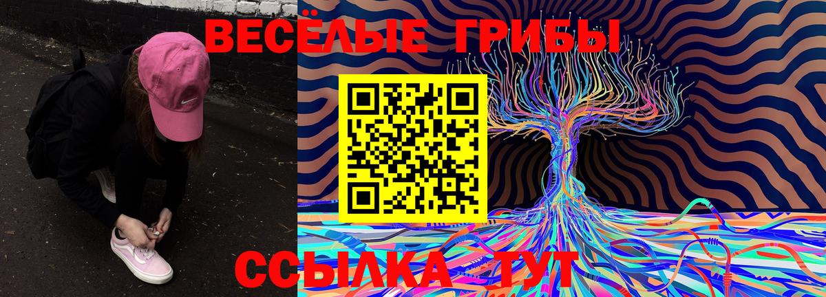 Каспийск  Псилоцибиновые грибы MAGIC MUSHROOMS  Псилоцибиновые грибы мицелий  Вход с VPN 